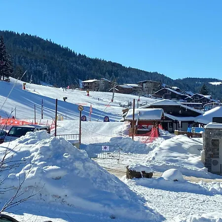 Chalet Bouton D'or Les Gets