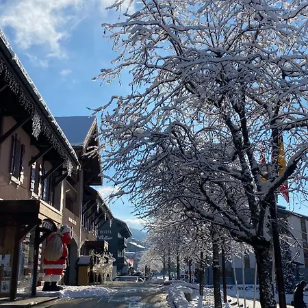 Chalet Bouton D'or Apartment *