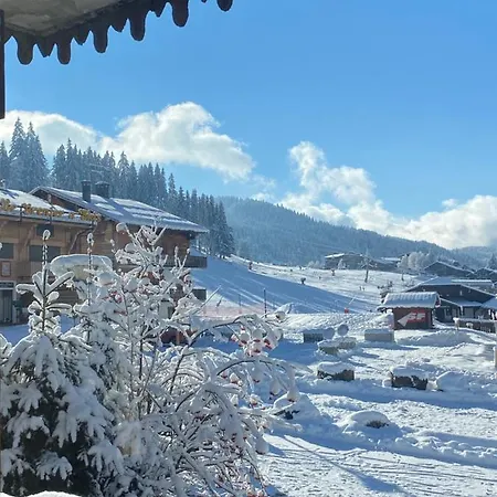 Apartment Chalet Bouton D'or